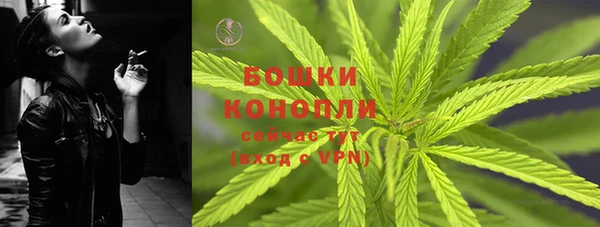 ПСИЛОЦИБИНОВЫЕ ГРИБЫ Михайлов