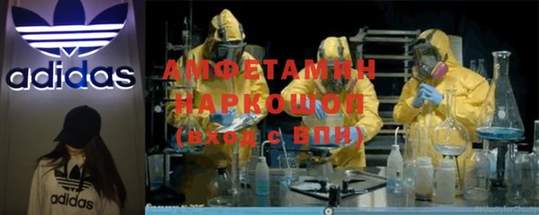 ПСИЛОЦИБИНОВЫЕ ГРИБЫ Михайлов