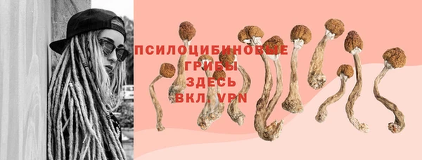ПСИЛОЦИБИНОВЫЕ ГРИБЫ Михайлов
