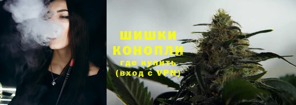 ПСИЛОЦИБИНОВЫЕ ГРИБЫ Михайлов