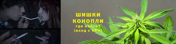 ПСИЛОЦИБИНОВЫЕ ГРИБЫ Михайлов