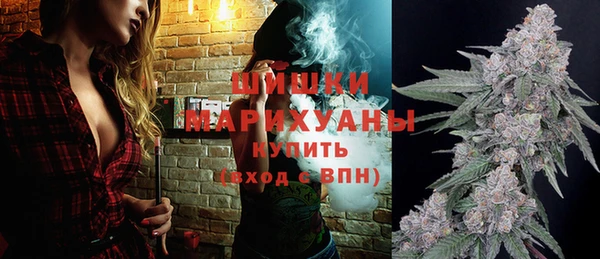 ПСИЛОЦИБИНОВЫЕ ГРИБЫ Михайлов