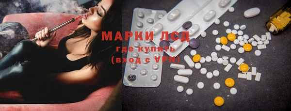 ПСИЛОЦИБИНОВЫЕ ГРИБЫ Михайлов