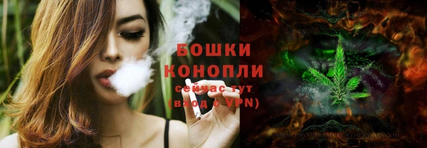 ПСИЛОЦИБИНОВЫЕ ГРИБЫ Михайлов